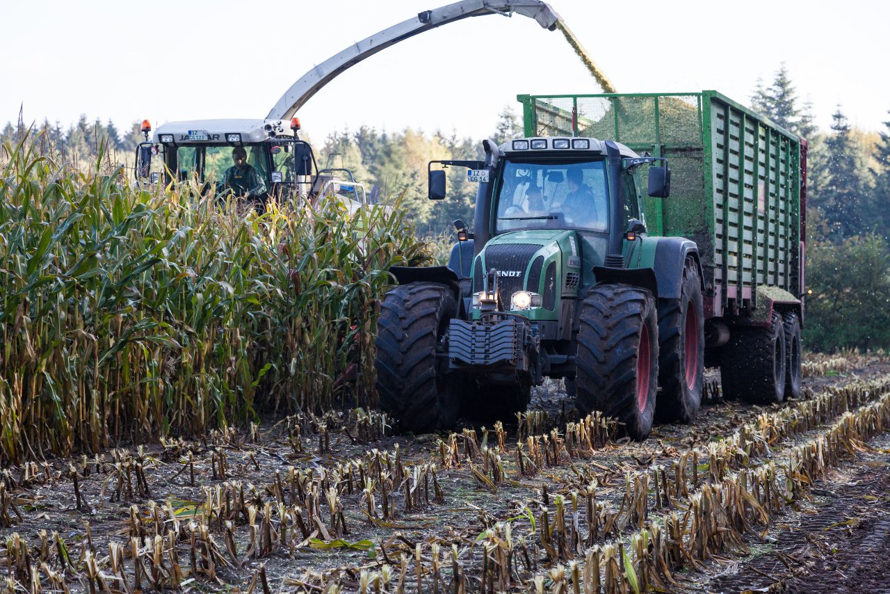 Bild 45 - Maisernte am 11.10.12